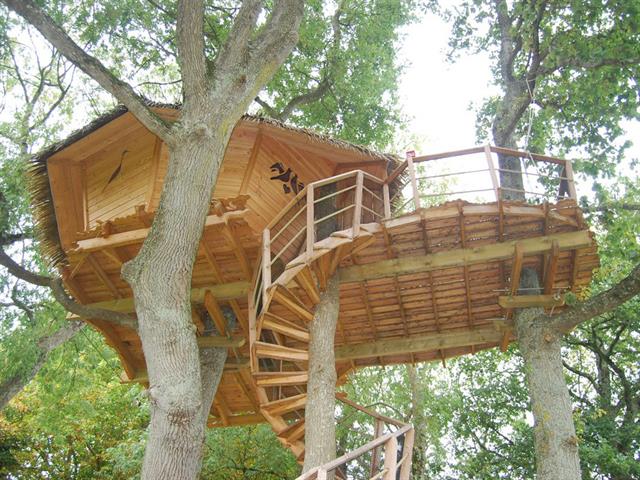 Une cabane dans un arbre au camping Lez-Eaux ***** dans la Manche.