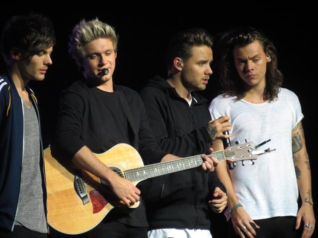 Jamais un camping français n'aura accueilli un groupe de musique aussi célèbre que les 1D !