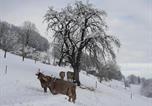 Location vacances Appenzell - Löhli Hof-2