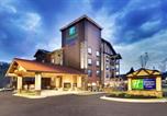 Hôtel Blue Ridge - Holiday Inn Express & Suites Helen by Ihg-1
