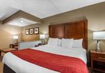 Hôtel Chattanooga - Comfort Inn & Suites Hamilton Place-3