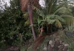 Location vacances Marigot - Cabin Creole-3