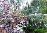 Location vacances Negril - Nature Haven 2br Stay with Pool and Garden View-4