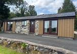 Location vacances Llandrillo - Bothi-2