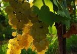 Location vacances Cormons - Pizzulin - Wine & Living-3