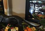 Location vacances Knysna - Waterfront Lodge-3