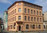 Hôtel Schleiz - Hotel Thüringer Hof-1