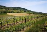 Location vacances Cormons - Pizzulin - Wine & Living-4