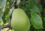 Location vacances Nonnenhorn - Obst- Und Ferienhof Karoline-3