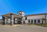 Hôtel Douglas - Quality Inn Moultrie-1