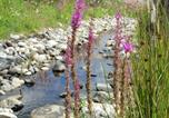 Location vacances La Chapelle-Hermier - Chalet 2 chambres calme, proche lac et plage - Fr-1-783-21-4