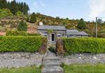 Location vacances Dolwyddelan - Henrhiw Bach-1