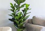Location vacances Jardin Botanique de Kirstenbosch - Modern 2 Bed in Claremont-3