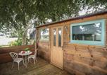 Location vacances Llanddyfnan - Fron Goch Shepherd's Hut-3
