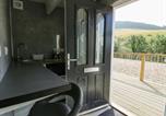 Location vacances Pontarfynach - Caban Glas-3