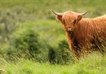 Location vacances Kirkmichael - Dalmunzie Castle Hotel-3