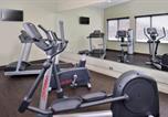 Hôtel Altavista - Appomattox Inn and Suites-4