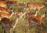 Location vacances St Lucia - Ubizane Zululand Tree Lodge-2