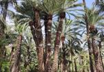 Location vacances Elche - Dama d'Elx-2