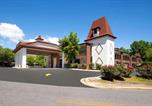 Hôtel Blue Ridge - Days Inn by Wyndham Helen-3