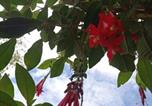 Location vacances Ollantaytambo - Spirit of the Montain lodge-3