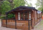 Location vacances Highland - Lurchers Cabin Aviemore-3