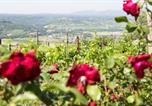 Location vacances Proceno - Casale Fornello-4