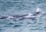 Location vacances Overstrand Rural - Calamari Self Catering-3