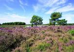 Camping Schokland et ses environs - Heidepark Veluwschkarakter-1