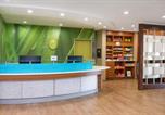 Hôtel Le Mars - Springhill Suites by Marriott Sioux Falls-4
