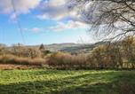 Location vacances Llandrillo - 1 Fron Uchaf-3