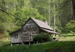 Location vacances Sylva - Log Cabin, Historic, wood fireplace-1