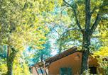 Camping Vallon-Pont-d'Arc - Camping et Lodges de Coucouzac-1