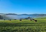 Location vacances Sankt Märgen - Lorenzenhäusle Titisee-Neustadt-4