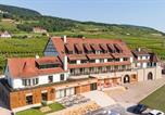 Hôtel Westhalten - Hôtel Terra Vinum-1