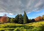 Location vacances Montville - Cottage in The Woods, Maleny-4