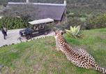 Location vacances Grahamstown - Hopewell Private Game Reserve-3