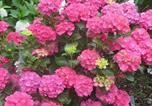 Location vacances Sains - Au Mont D'en Face - Les Hortensias-2