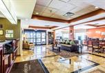 Hôtel Jackson - Sleep Inn & Suites Dyersburg I-155-3