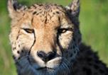 Location vacances Grahamstown - Hopewell Private Game Reserve-2