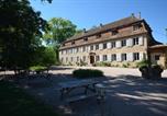 Hôtel Matzenheim - Chambres d'hôtes Château De Grunstein-3