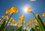 Location vacances Sauze d'Oulx - Appartamento Beau Soleil - Happy Rentals-2