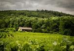 Location vacances Ribeauvillé - Gîte Du Weinbaum-1