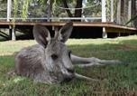 Location vacances Lovedale - Palmers Lane Vineyard Cottage-4