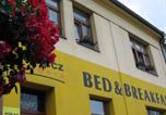 Hôtel Brno - Bed & Breakfast Penzion Brno-1