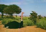 Location vacances Zagora - Authentic Sahara with Locals-4