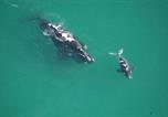 Location vacances Overstrand Rural - Crayfish Lodge Sea & Country Guest House-3