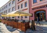 Hôtel Château de Litomyšl - Hotel U Labutě-4