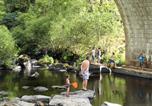 Camping Chastanier - Camping du Pont de Braye-4
