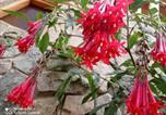 Location vacances Ollantaytambo - Spirit of the Montain lodge-4